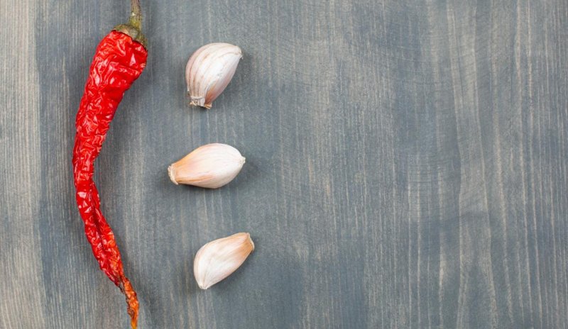 Ученые создали искусственный язык для точного измерения остроты продуктов - «Кулинарные рецепты» Ученые создали искусственный язык для точного измерения остроты продуктов - «Кулинарные рецепты»